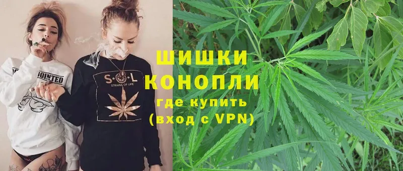 Шишки марихуана OG Kush  Новотитаровская 